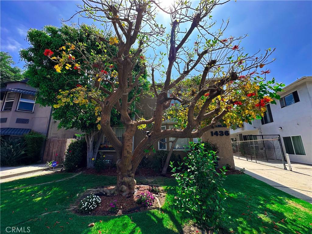 Los Angeles, CA 90035,1436 S Holt AVE #5