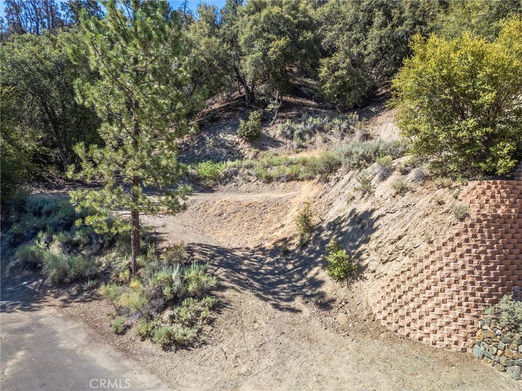 Pine Mountain Club, CA 93222,15604 San Moritz DR