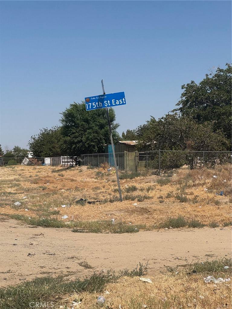 Lake Los Angeles, CA 93535,175 Ave N8