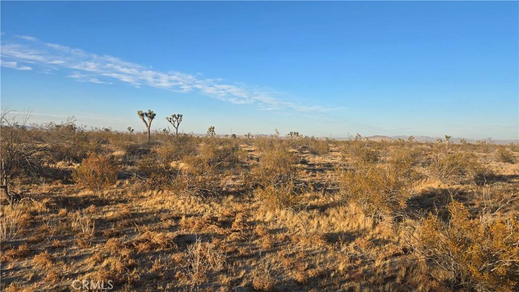 0 Avenue U4 & 257th St E, Llano, CA 93544