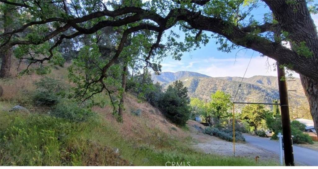 0 Pine Canyon, Frazier Park, CA 93225