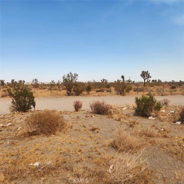 1595 La Mesa RD, Pinon Hills, CA 92371