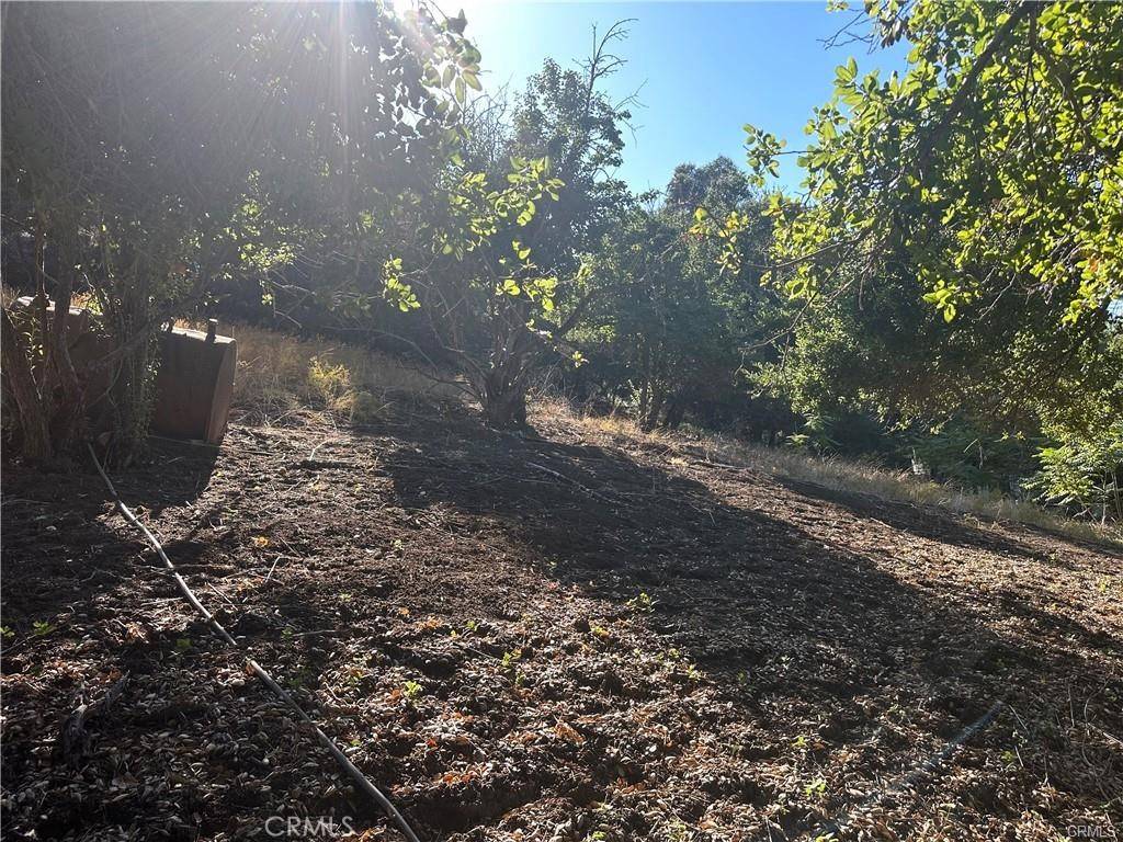 0 Paradise Lane, Topanga, CA 90290