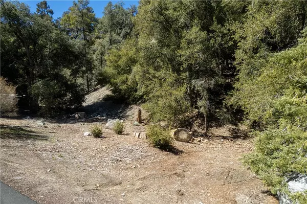 Pine Mountain Club, CA 93222,1301 Bernina DR