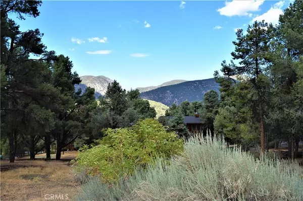 Pine Mountain Club, CA 93225,14704 Pinehurst DR