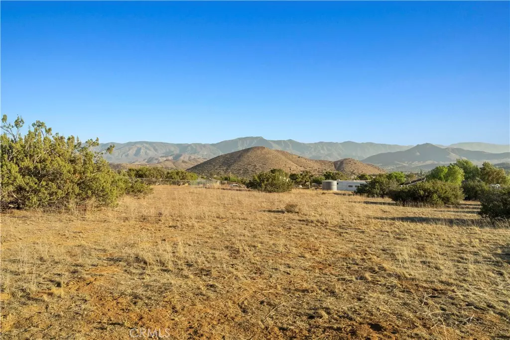 Acton, CA 93510,0 Dwight Lee