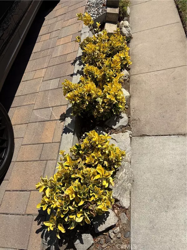 Glendale, CA 91205,1200 Green Street