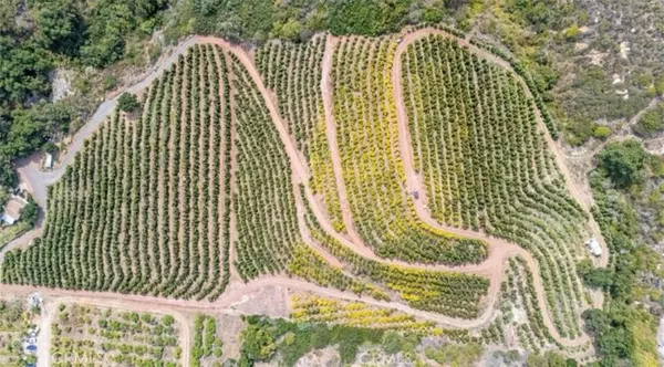 Carpinteria, CA 93013,4508 Foothill