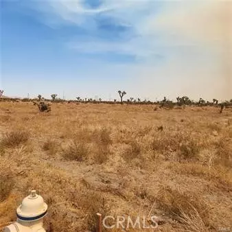 Pinon Hills, CA 92372,1595 La Mesa RD