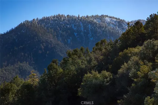 Pine Mountain Club, CA 93222,1824 Saint Anton DR