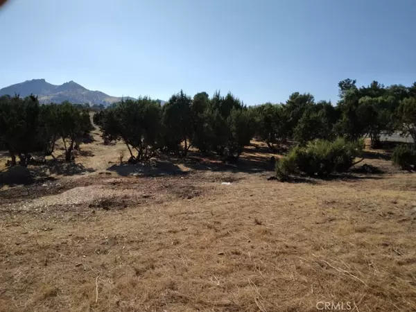 Agua Dulce, CA 91350,0 Agua Dulce Canyon