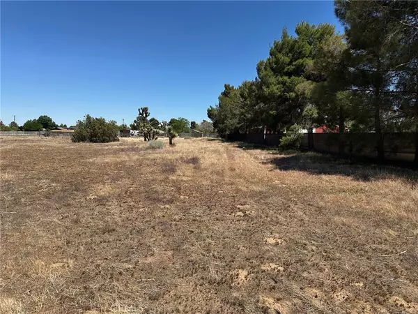 Palmdale, CA 93550,0 Cor 17th Stw