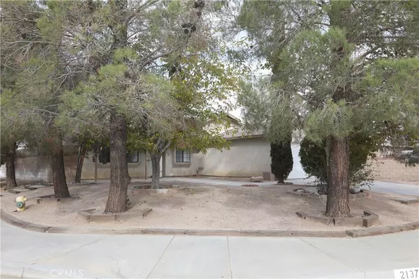 Rosamond, CA 93560,2137 Phlox