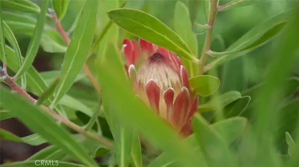 Agoura Hills, CA 91301,28916 Valley Heights