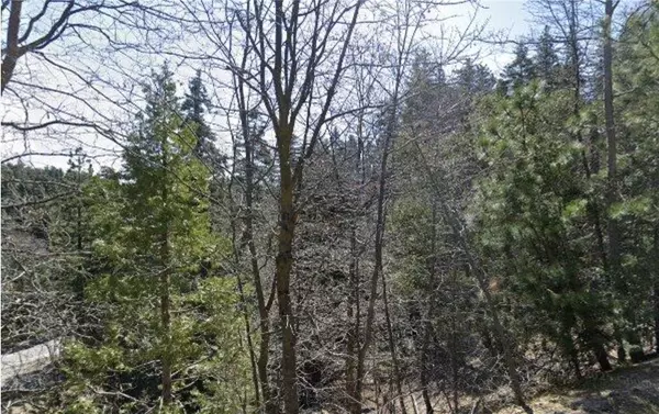 Twin Peaks, CA 92391,23657 Lo Ln