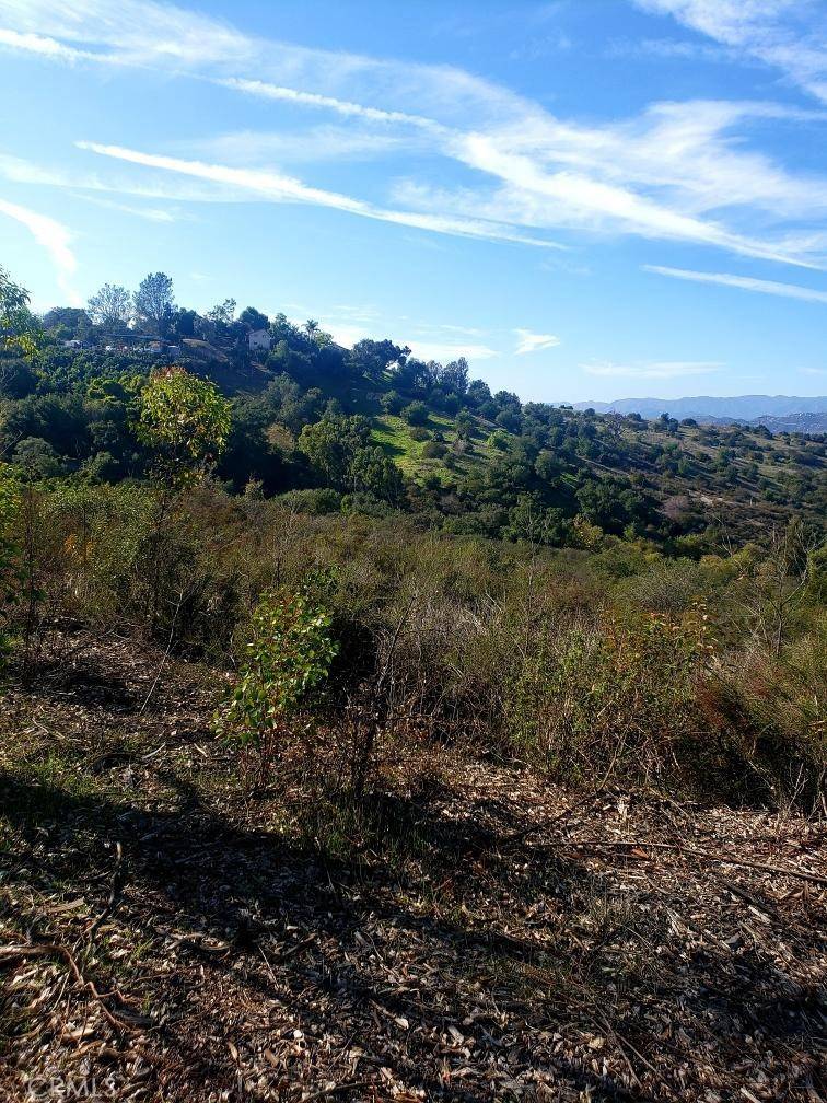 Fallbrook, CA 92028,0 Jalna LN