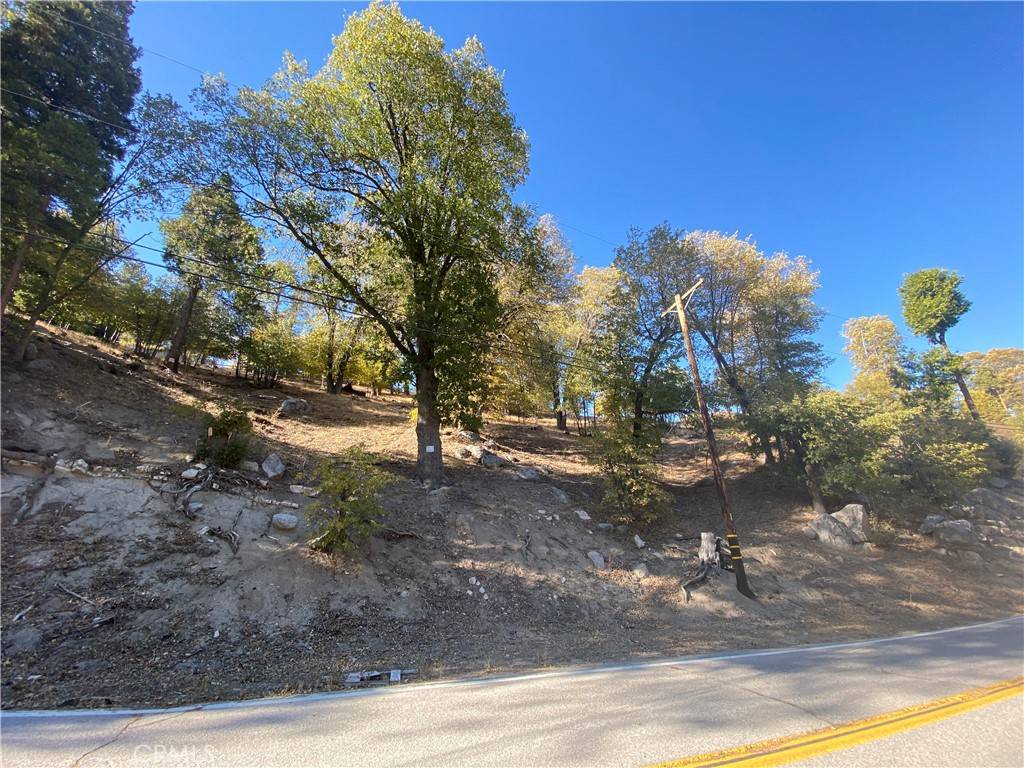 0 Hook Creek RD, Lake Arrowhead, CA 92321