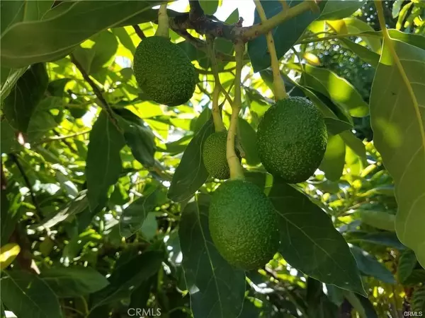 Temecula, CA 92590,0 Calle La Paz