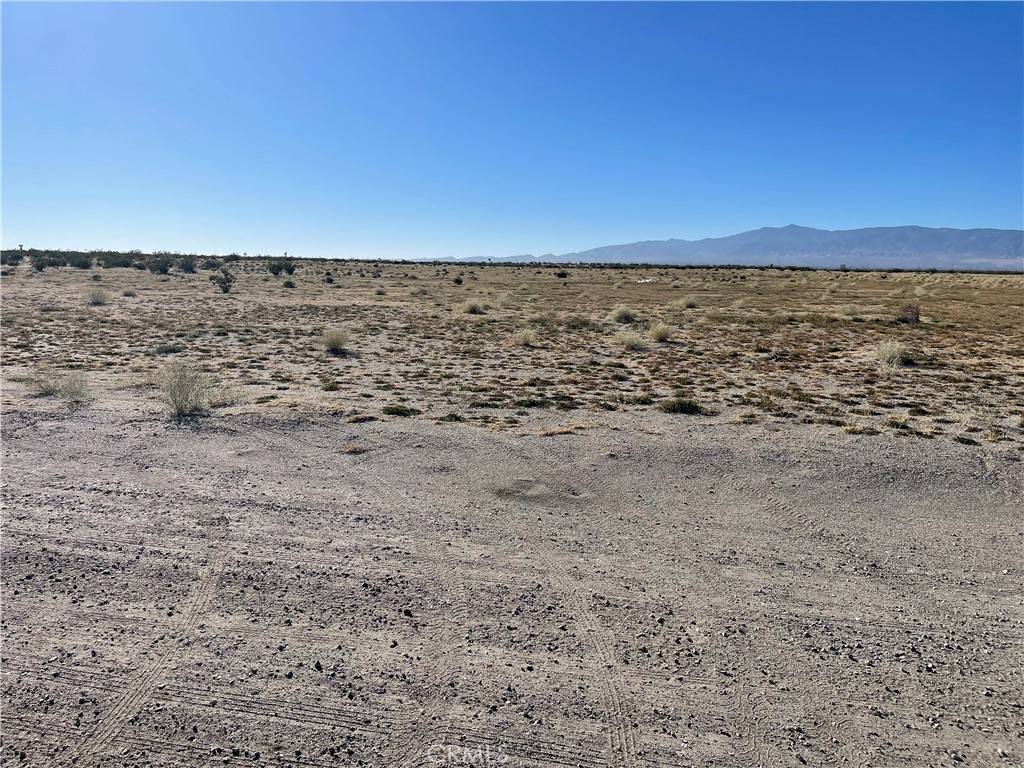 El Mirage, CA 92301,0 White