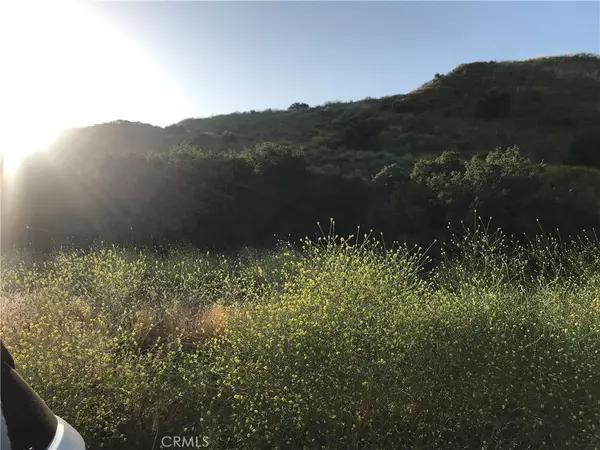 Canyon Country, CA 91351,0 Vasquez Canyon RD