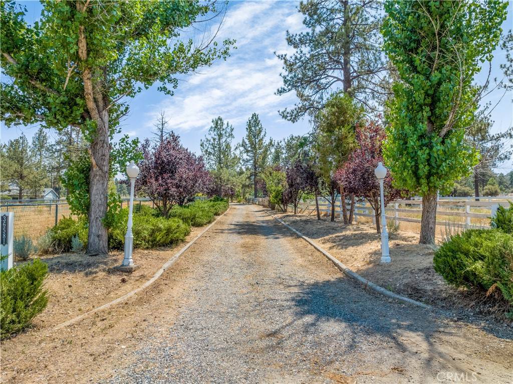 36581 Tool Box Springs RD, Mountain Center, CA 92561