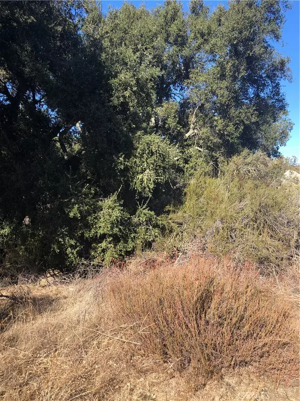 Hemet, CA 92544,4 Red Mountain RD