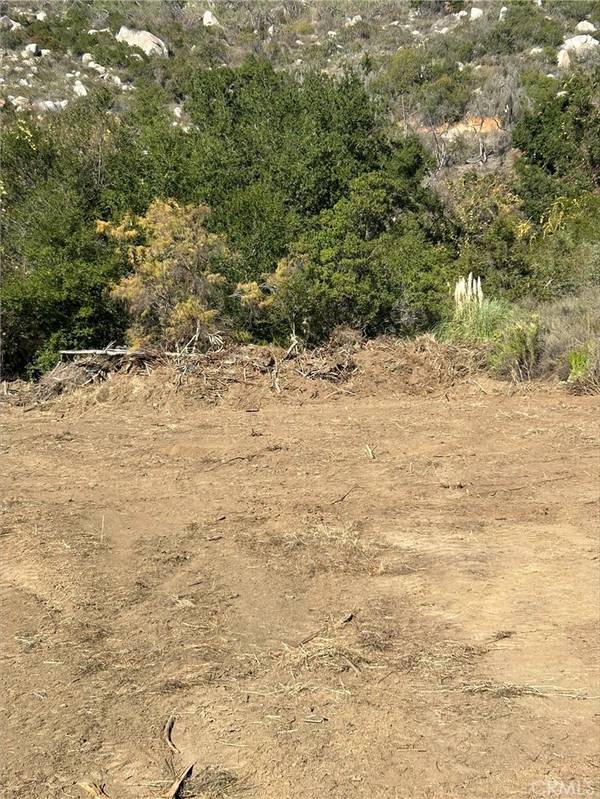 Temecula, CA 92590,6 Buena Loma