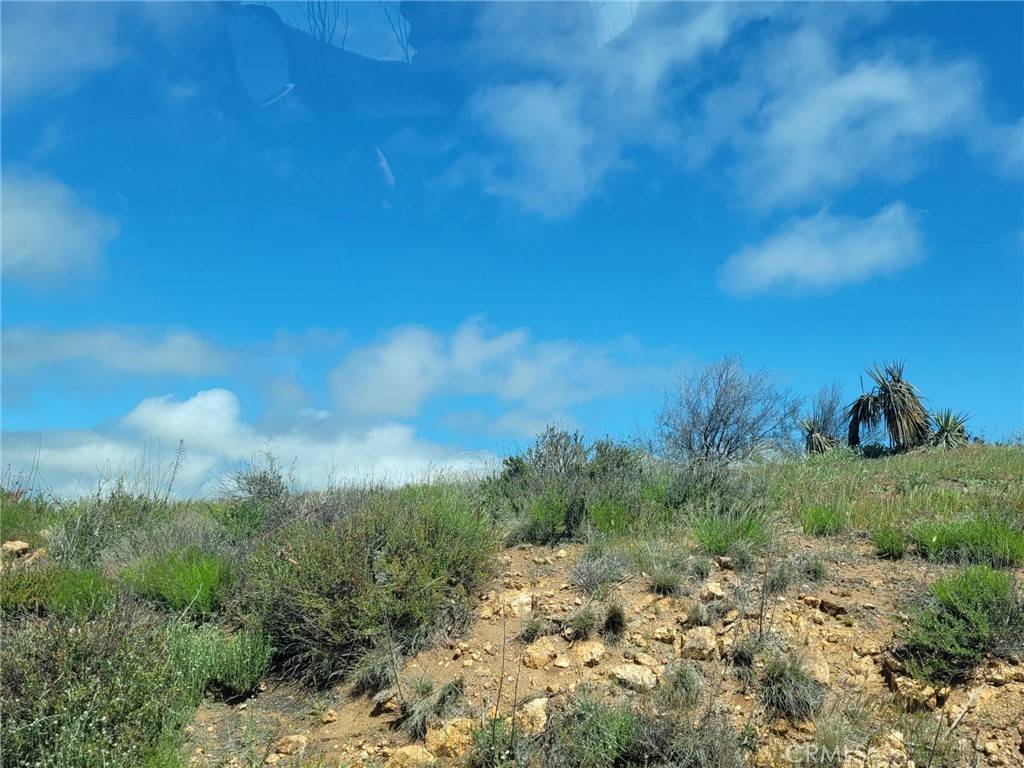 Anza, CA 92539,0 Cooper Cienega