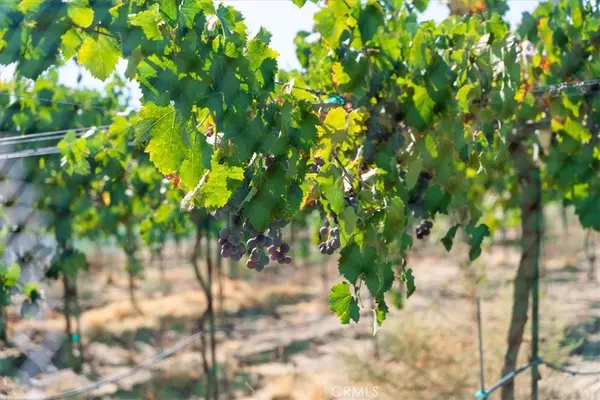 43900 Highway 79, Aguanga, CA 92536