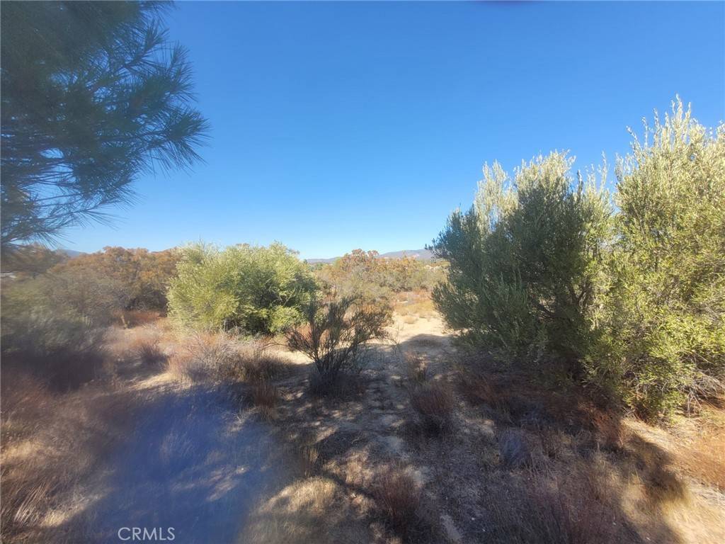 Anza, CA 92539,0 Ayers