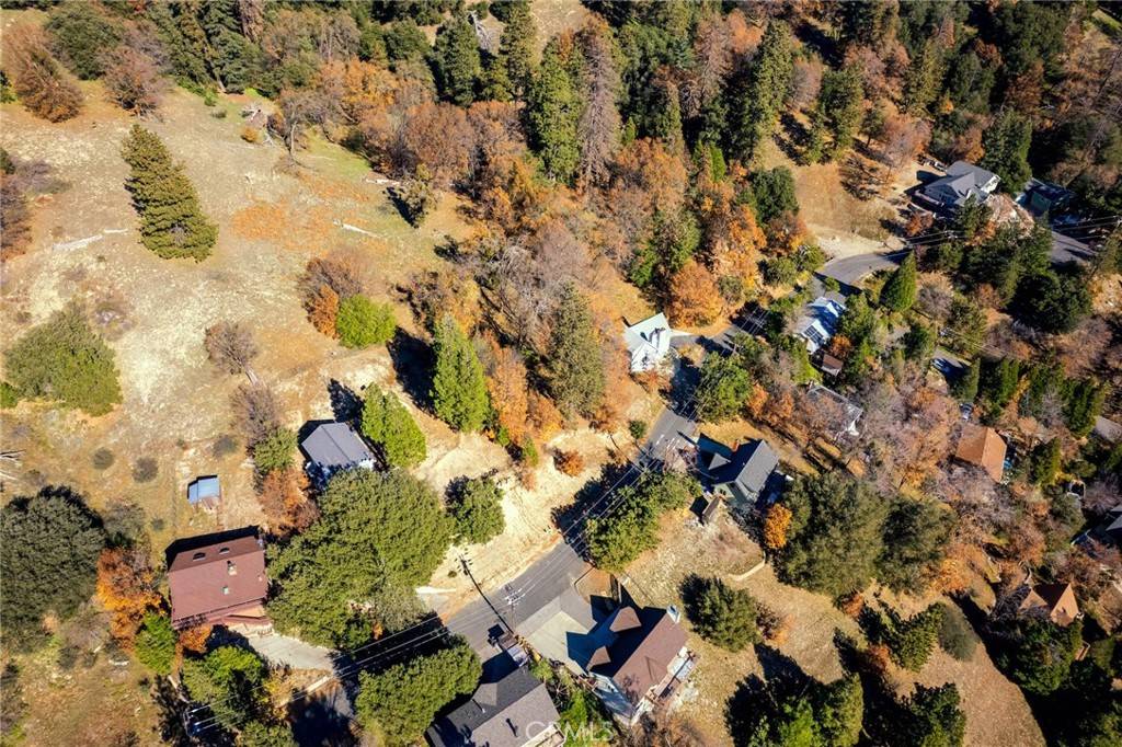 Crestline, CA 92325,0 Briarwood LN