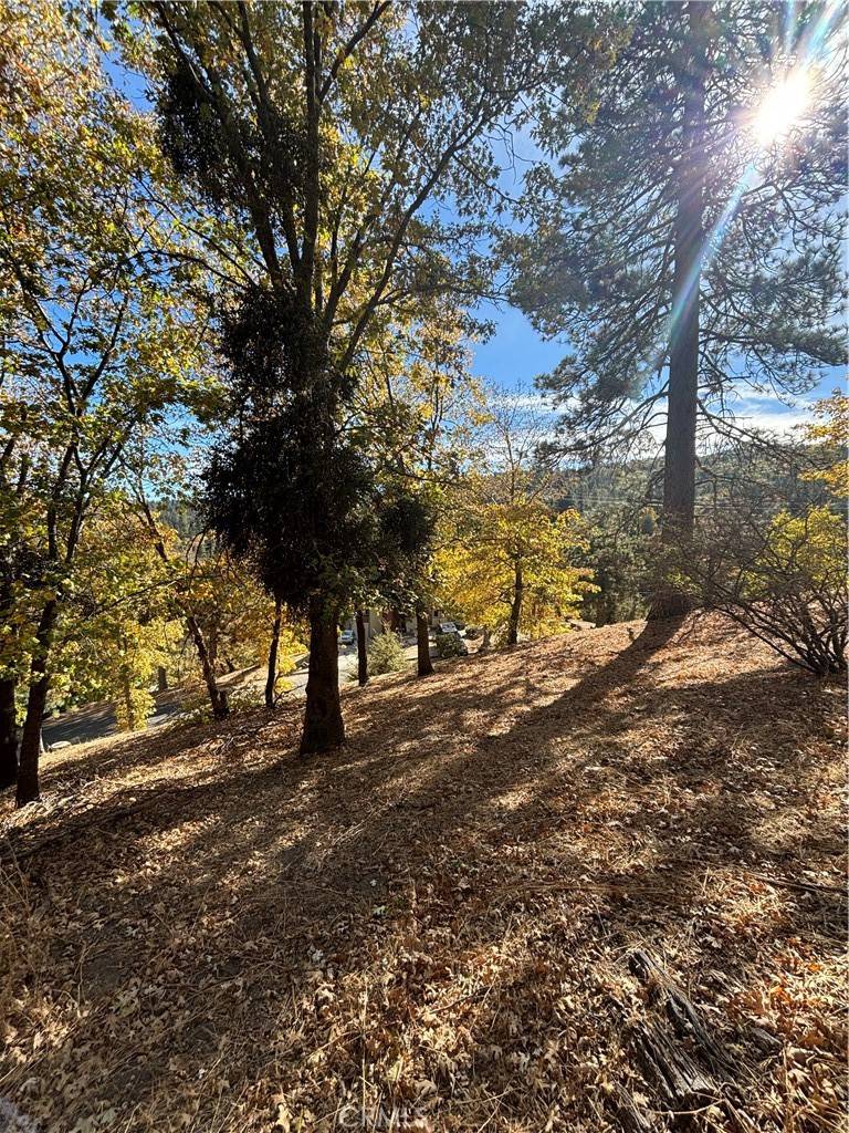 Crestline, CA 92325,0 Briarwood LN