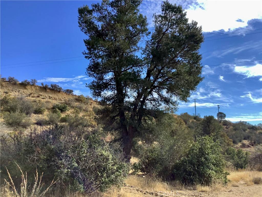 Anza, CA 92539,0 N Hill ST