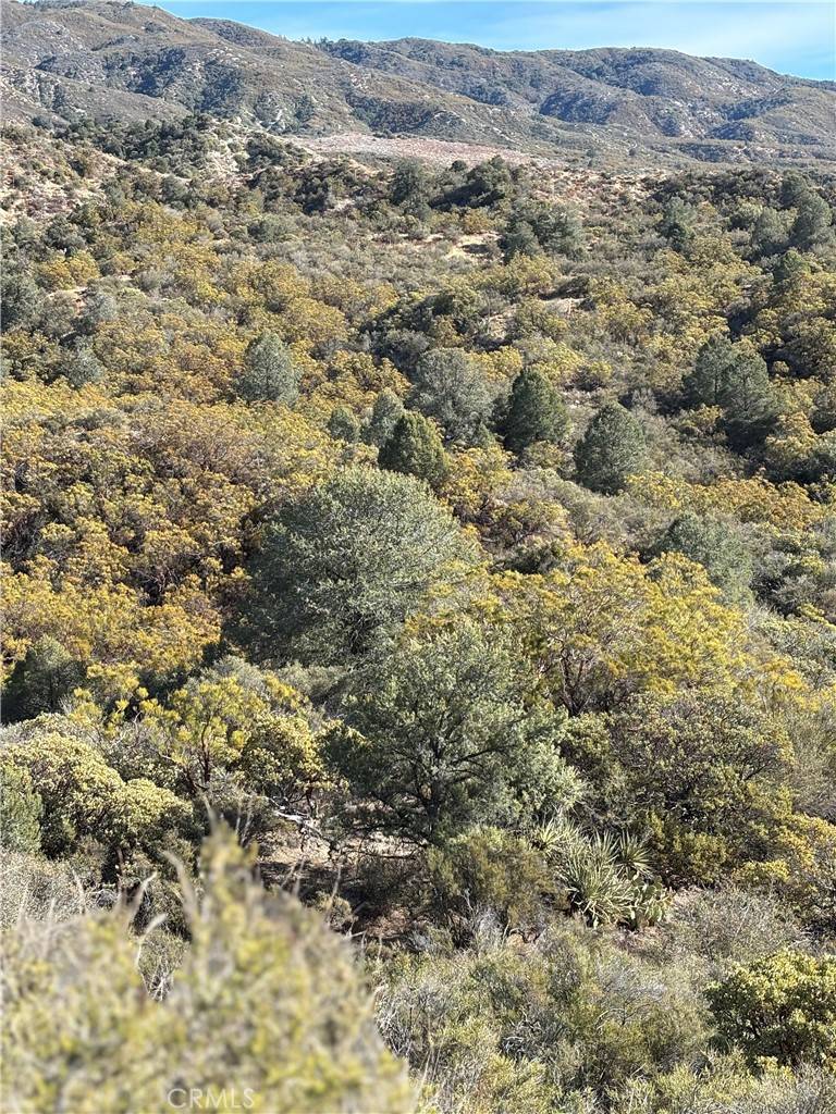 Anza, CA 92539,0 Upper Valley Road