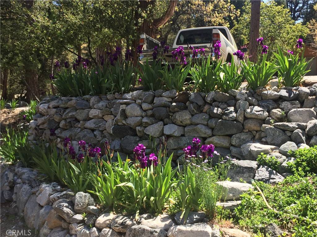 Forest Falls, CA 92339,9112 Torrey Pines RD