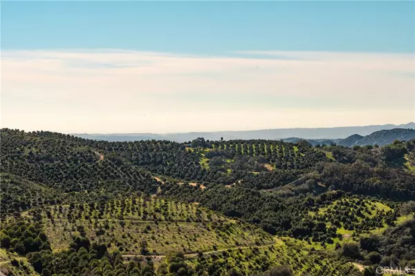 Temecula, CA 92590,4 Calle Uva