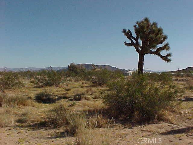 Landers, CA 92285,528 Landers LN