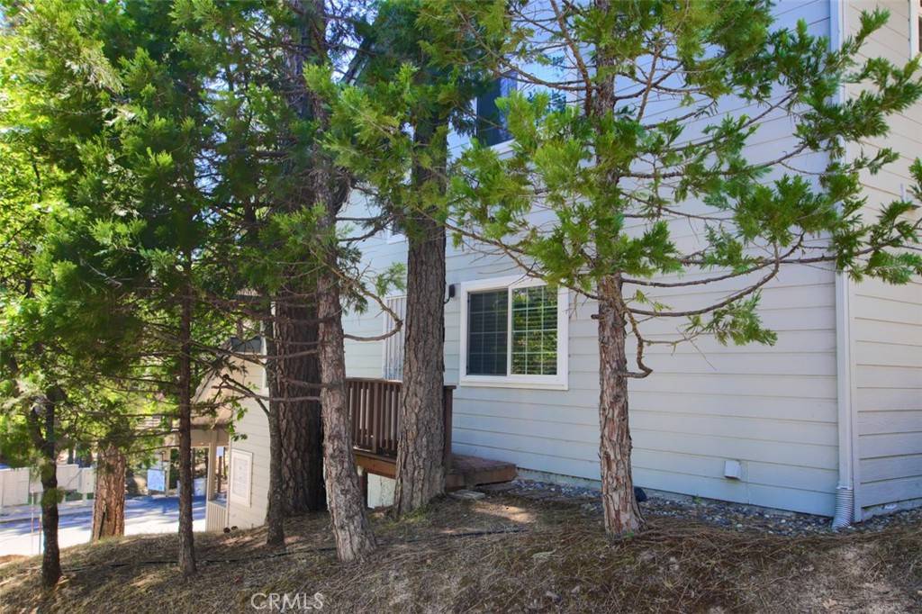 Bass Lake, CA 93604,40505 Saddleback RD
