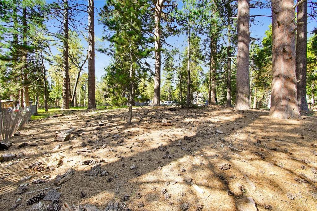 Idyllwild, CA 92548,0 Pine Ridge RD