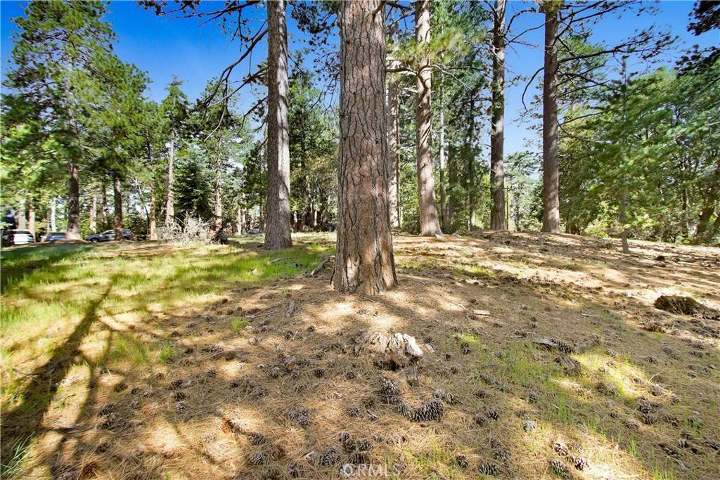 Idyllwild, CA 92548,0 Pine Ridge RD