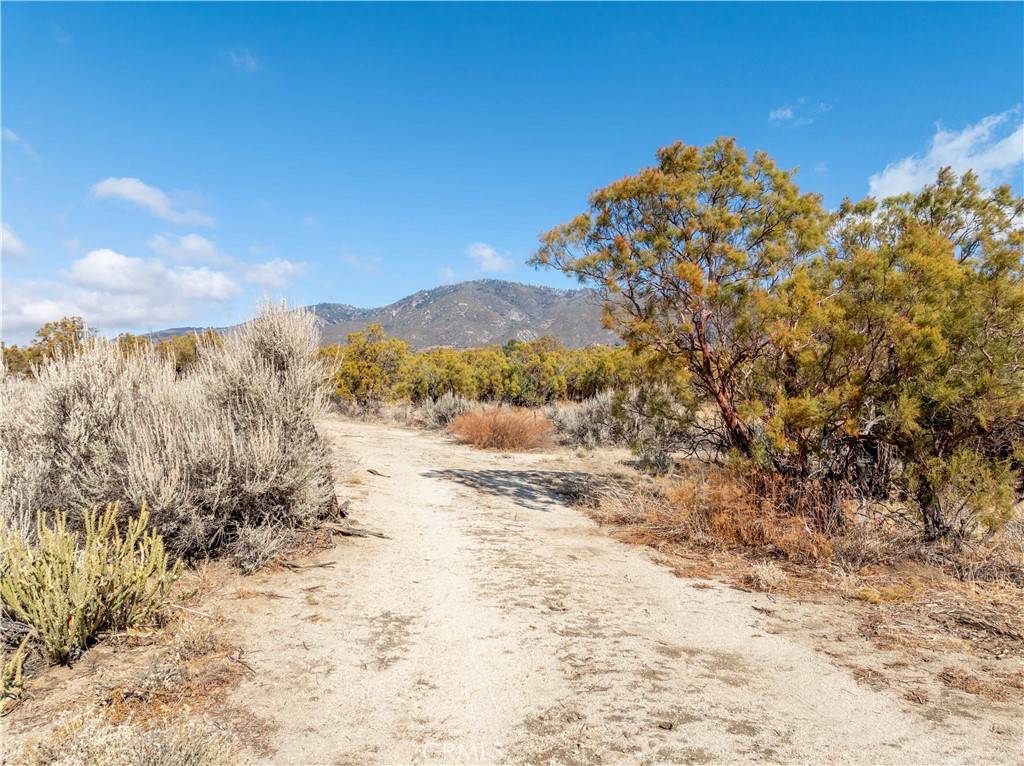 Anza, CA 92539,55490 Pinetree LN