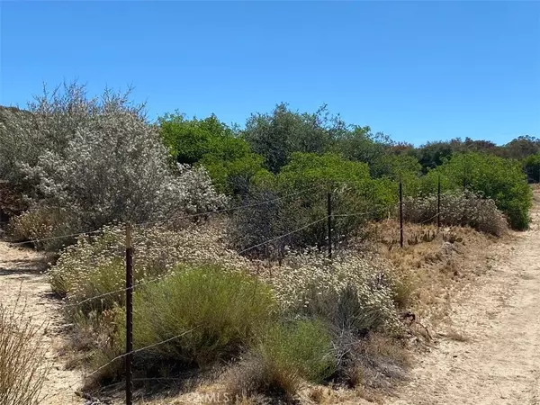 Anza, CA 92539,42617 Wild Horse TRL