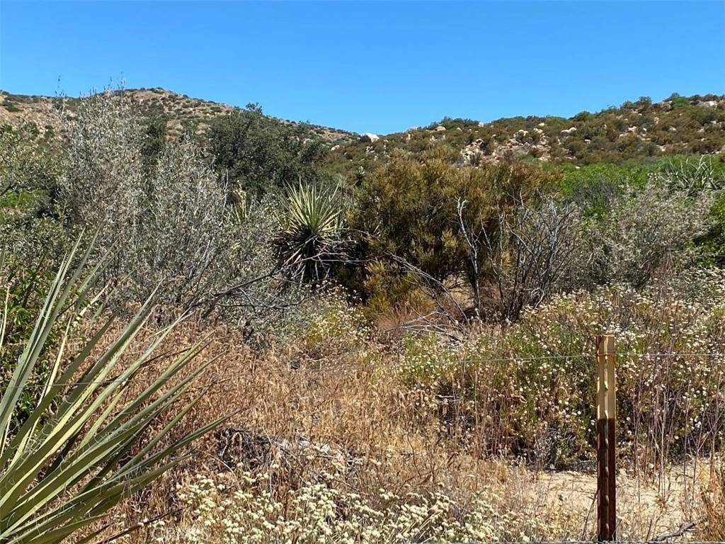 Anza, CA 92539,42505 Wild Horse TRL
