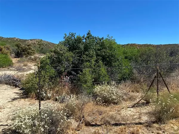 Anza, CA 92539,42505 Wild Horse TRL