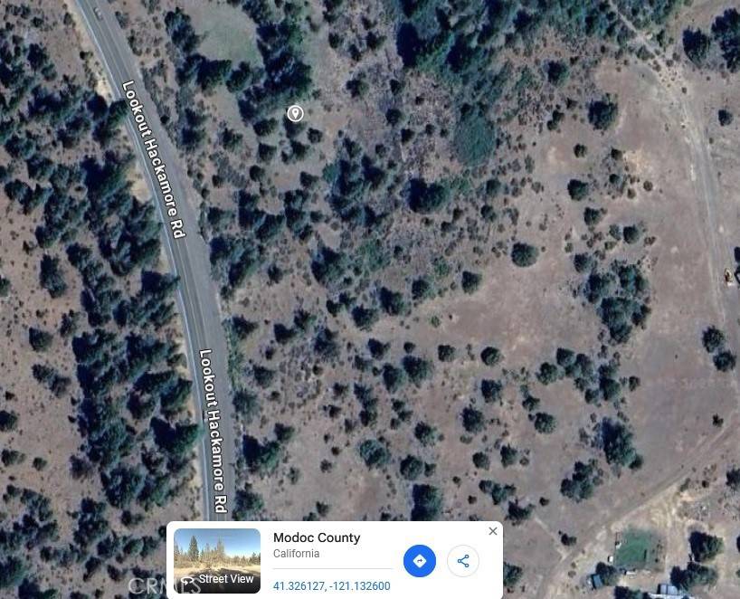 Lookout, CA 96054,0 B Lookout Hackamore