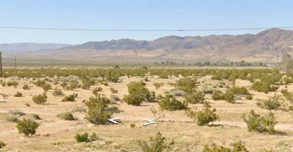 Yermo, CA 92398,0 Ghost Town RD