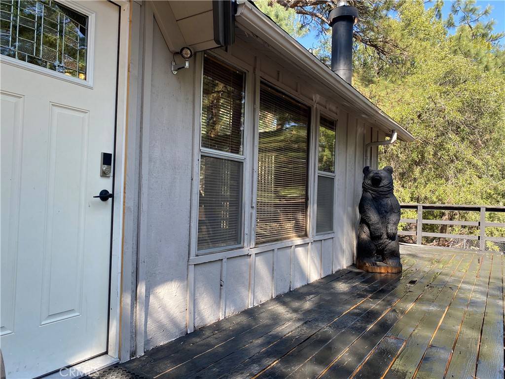 Idyllwild, CA 92549,25300 Marion Ridge DR