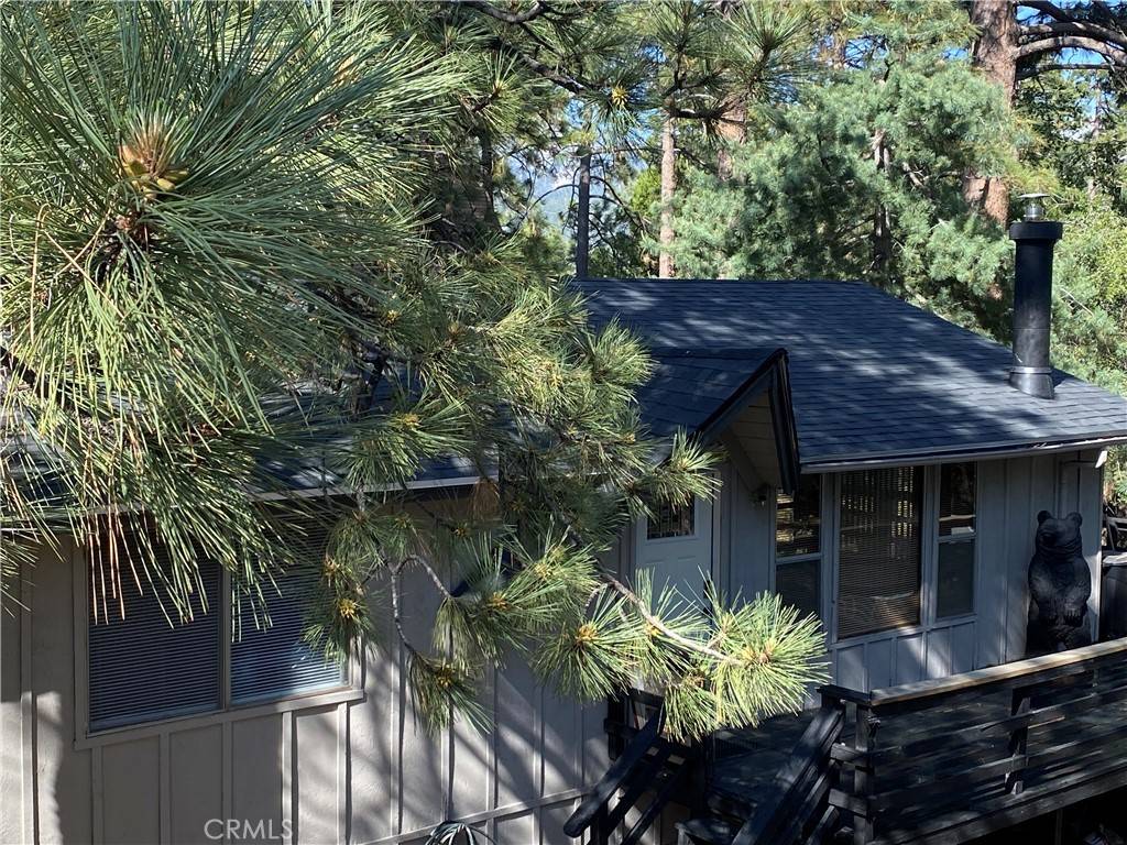 Idyllwild, CA 92549,25300 Marion Ridge DR