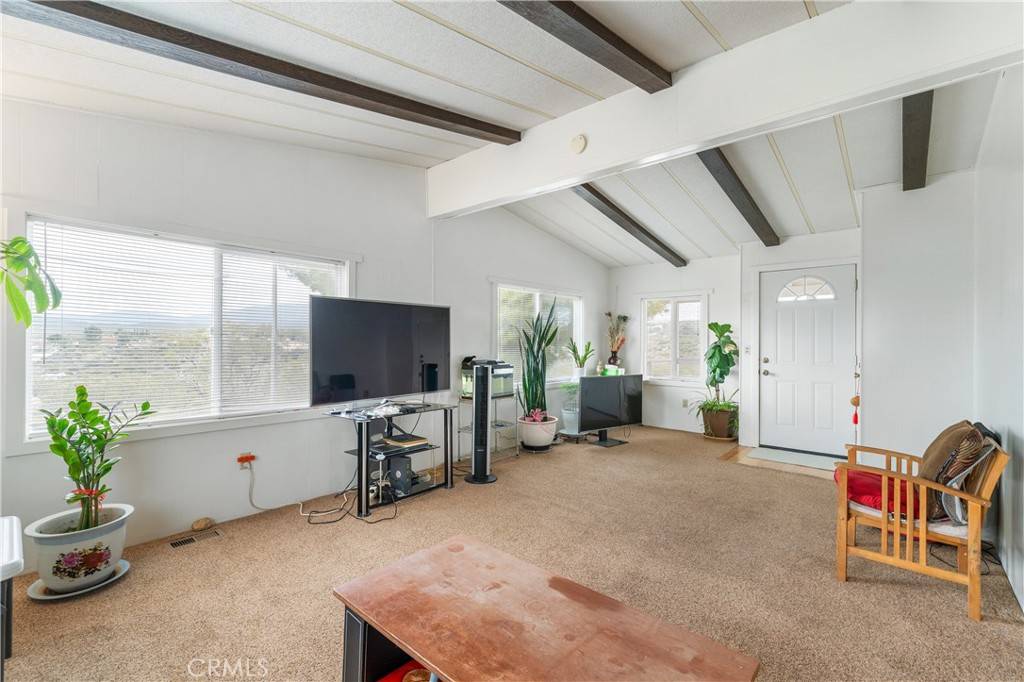 Anza, CA 92539,39292 Spanish Bayonet