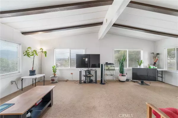 Anza, CA 92539,39292 Spanish Bayonet